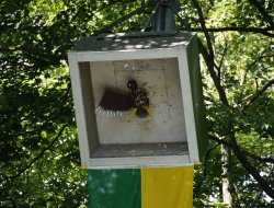 sf monntag 2025079